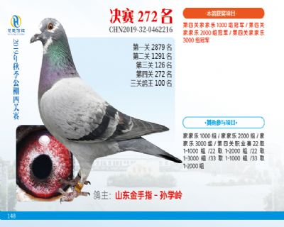 威力慧能决赛272名