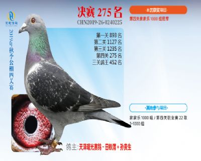 威力慧能决赛275名