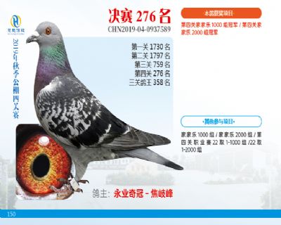 威力慧能决赛276名