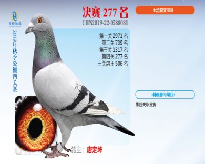 威力慧能决赛277名