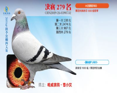 威力慧能决赛279名
