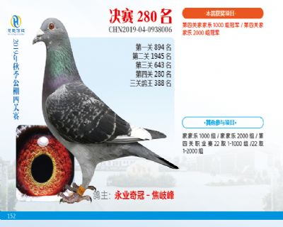 威力慧能决赛280名