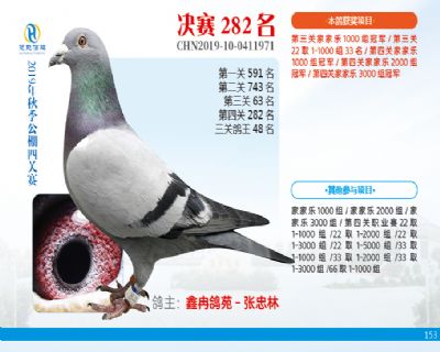 威力慧能决赛282名