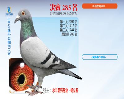 威力慧能决赛285名