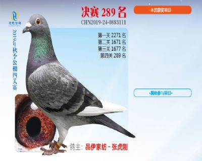 威力慧能决赛289名