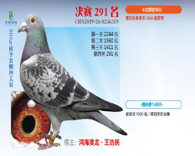 威力慧能决赛291名