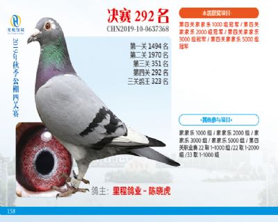 威力慧能决赛292名