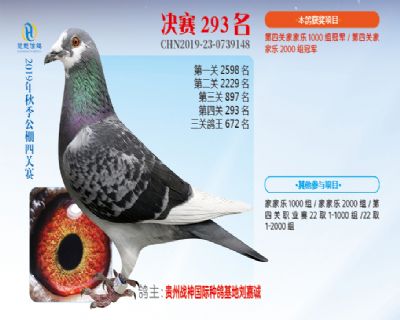 威力慧能决赛293名