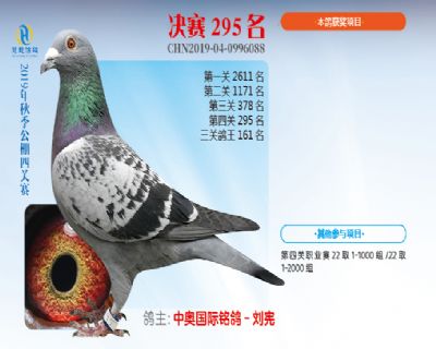 威力慧能决赛295名