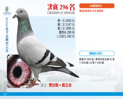威力慧能决赛296名
