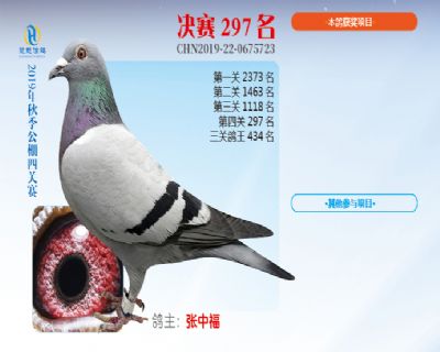 威力慧能决赛297名