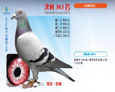 威力慧能决赛303名