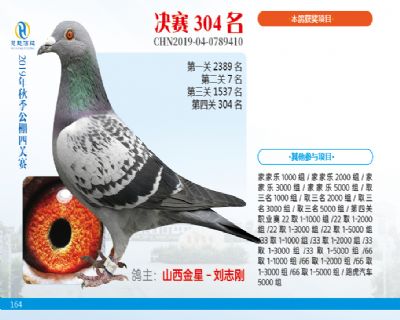 威力慧能决赛304名