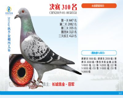 威力慧能决赛310名
