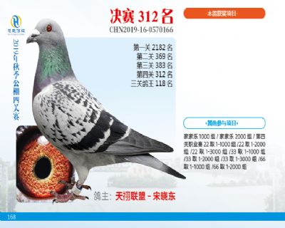 威力慧能决赛312名