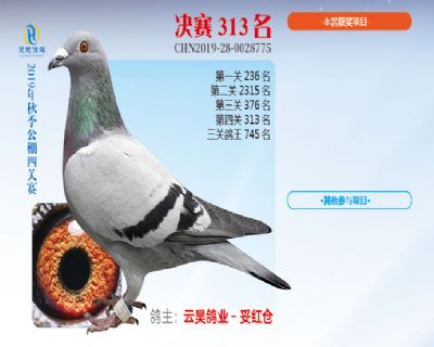 威力慧能决赛313名