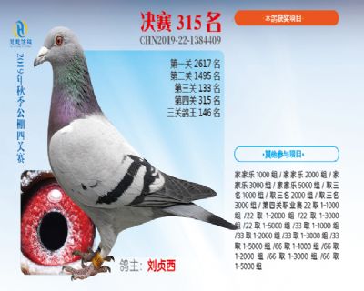 威力慧能决赛315名