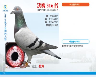 威力慧能决赛316名