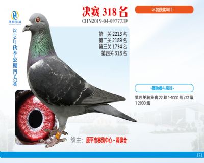 威力慧能决赛318名