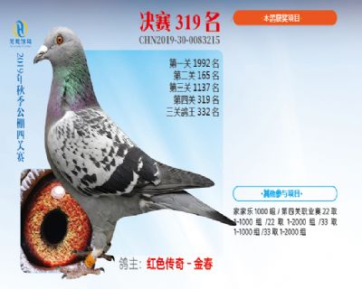 威力慧能决赛319名