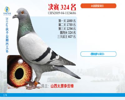 威力慧能决赛324名