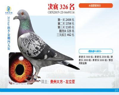 威力慧能决赛326名