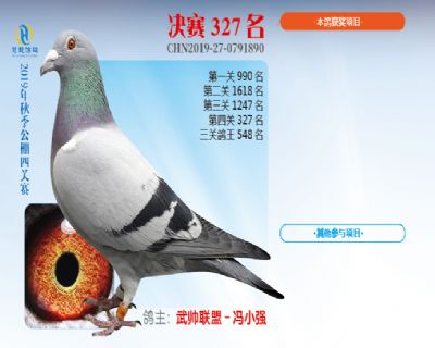 威力慧能决赛327名