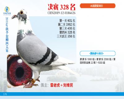 威力慧能决赛328名