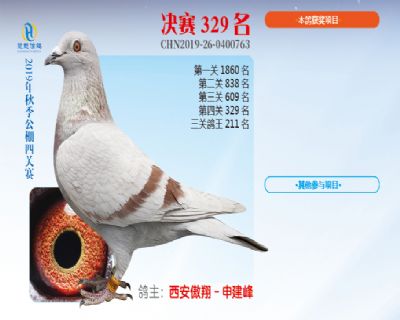 威力慧能决赛329名