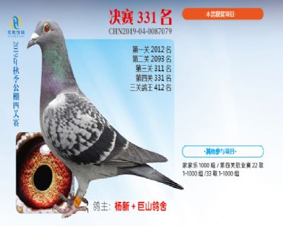 威力慧能决赛331名