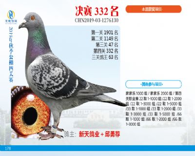 威力慧能决赛332名