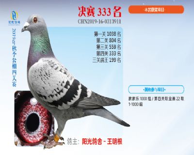 威力慧能决赛333名