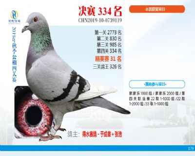 威力慧能决赛334名