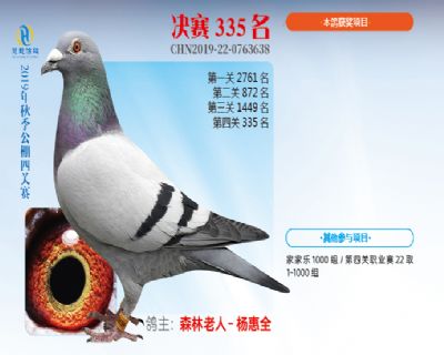 威力慧能决赛335名