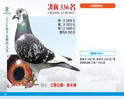 威力慧能决赛336名