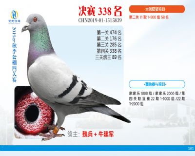 威力慧能决赛338名