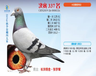 威力慧能决赛337名