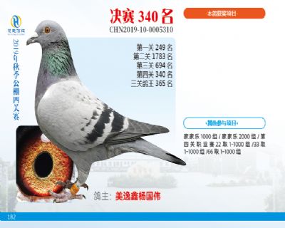 威力慧能决赛340名
