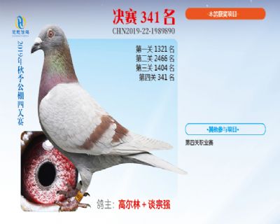 威力慧能决赛341名