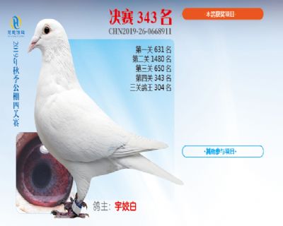 威力慧能决赛343名