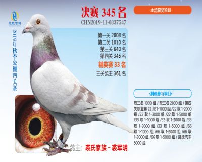 威力慧能决赛345名