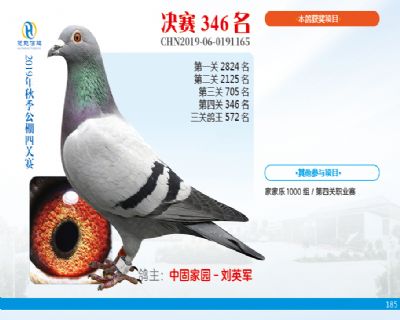 威力慧能决赛346名