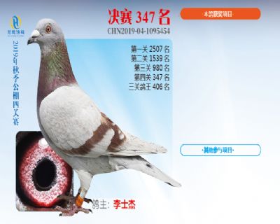 威力慧能决赛347名