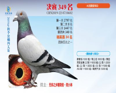威力慧能决赛349名