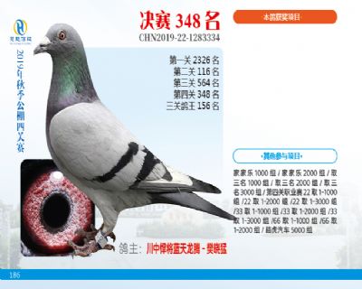 威力慧能决赛348名