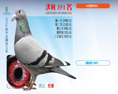 威力慧能决赛351名