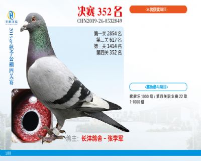 威力慧能决赛352名