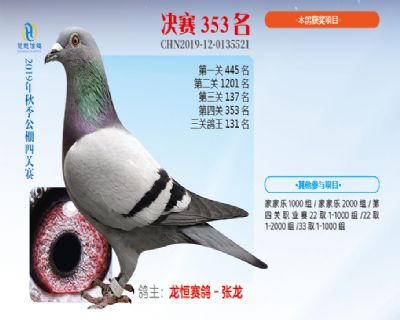 威力慧能决赛353名