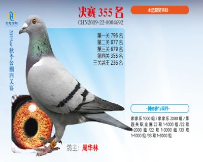 威力慧能决赛355名