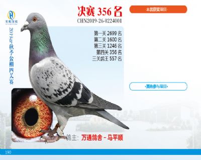 威力慧能决赛356名